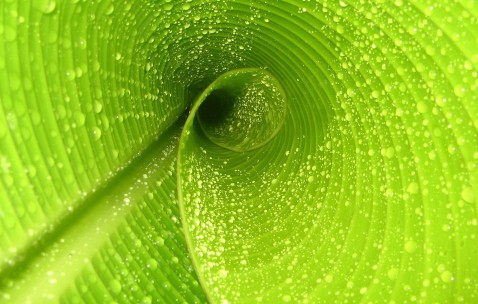 米东高薪捐卵联系方式，附2024捐卵试管攻略！